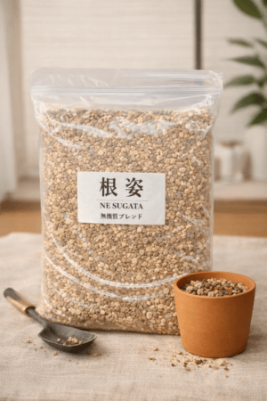 根姿（ねすがた）6L