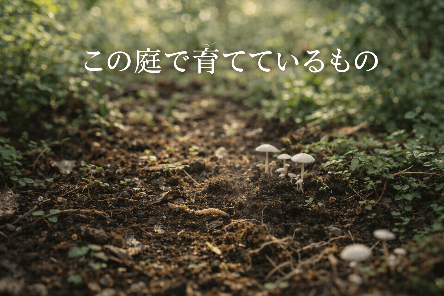 この庭で育てているもの