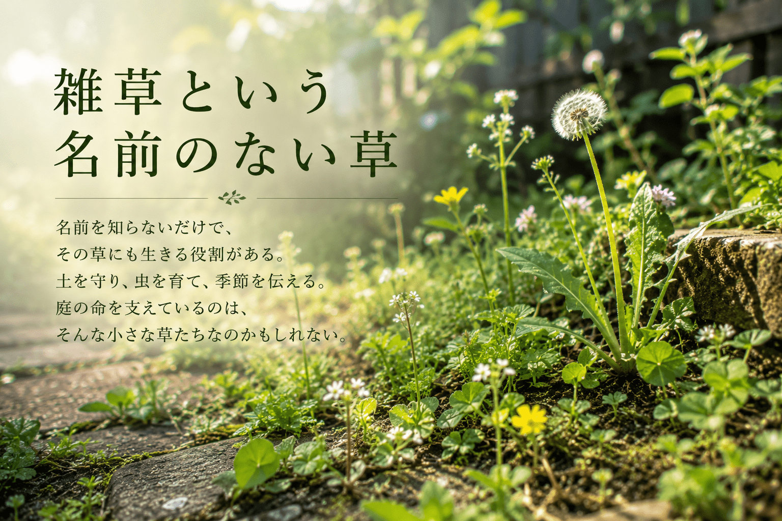 雑草という名前のない草