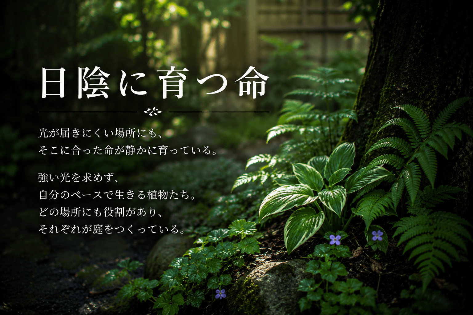 日陰に育つ命