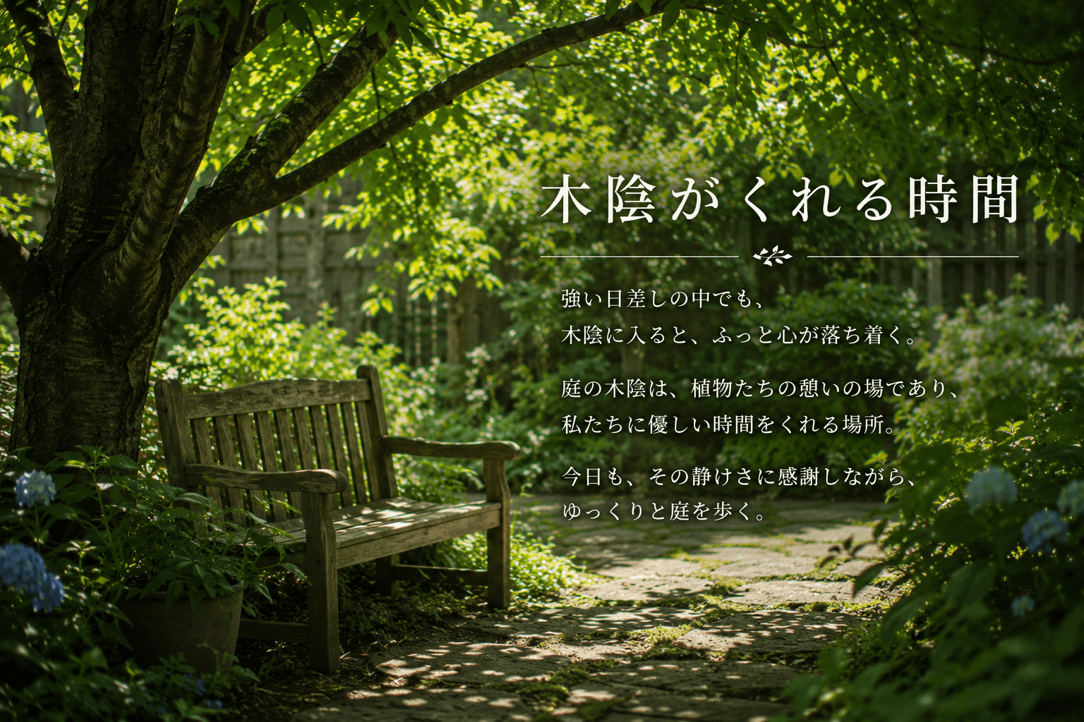 木陰がくれる時間