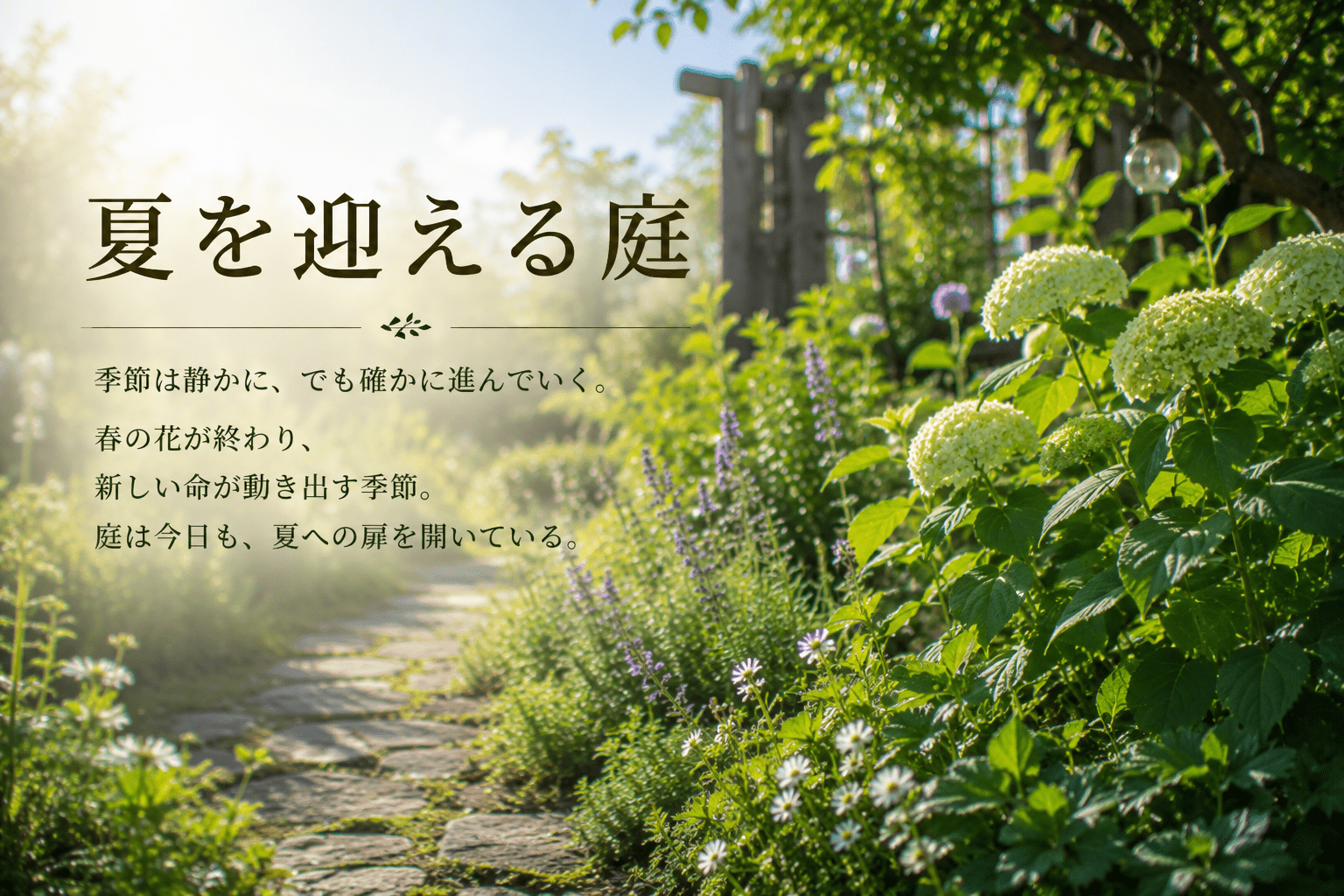 夏を迎える庭