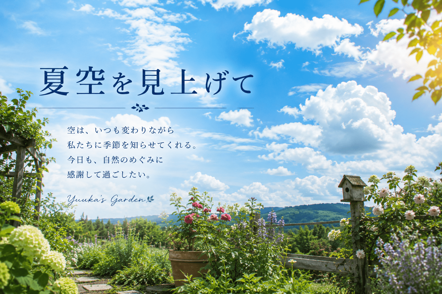 夏空を見上げて