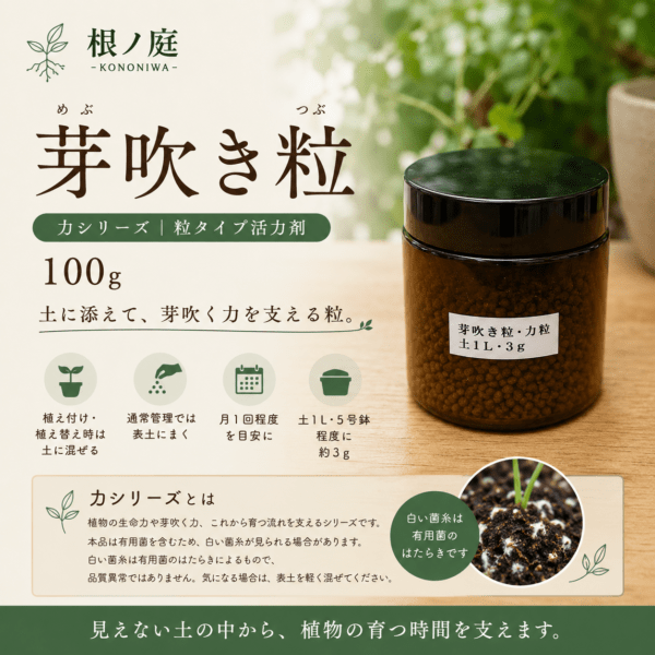 芽吹き粒 100g