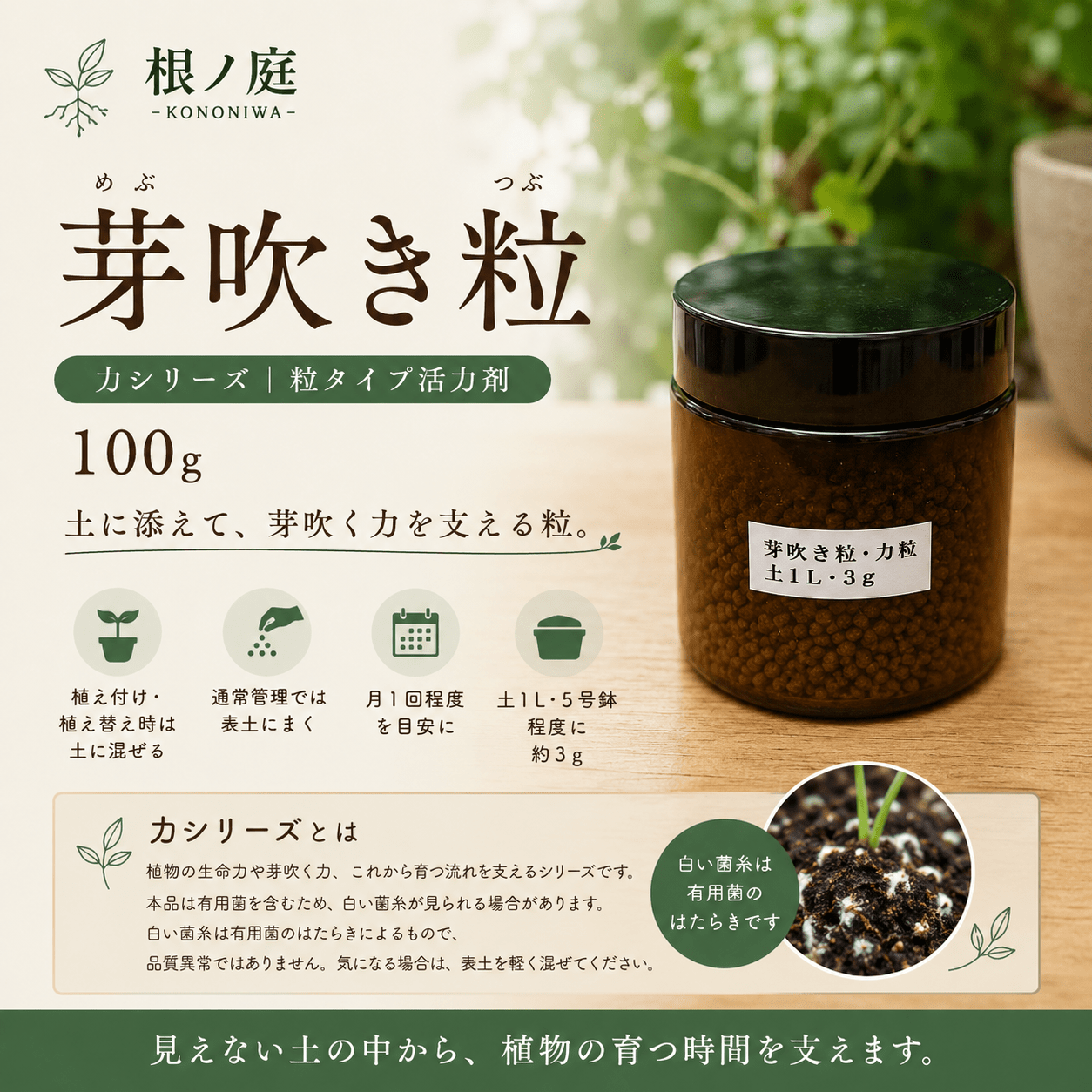 芽吹き粒 100g