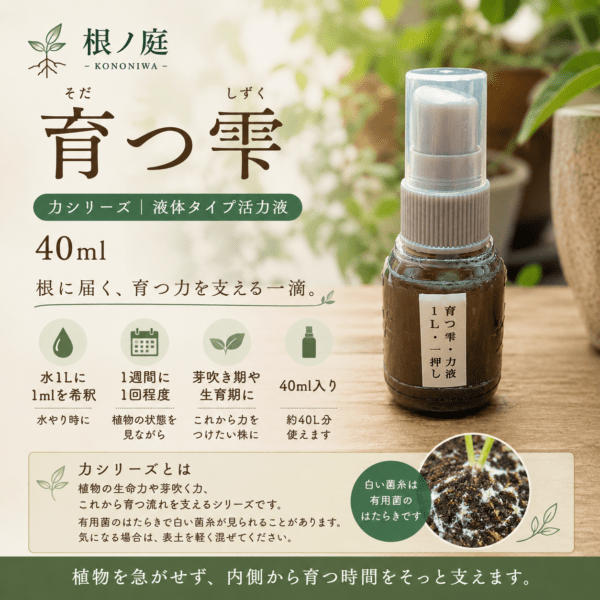 育つ流れを支える