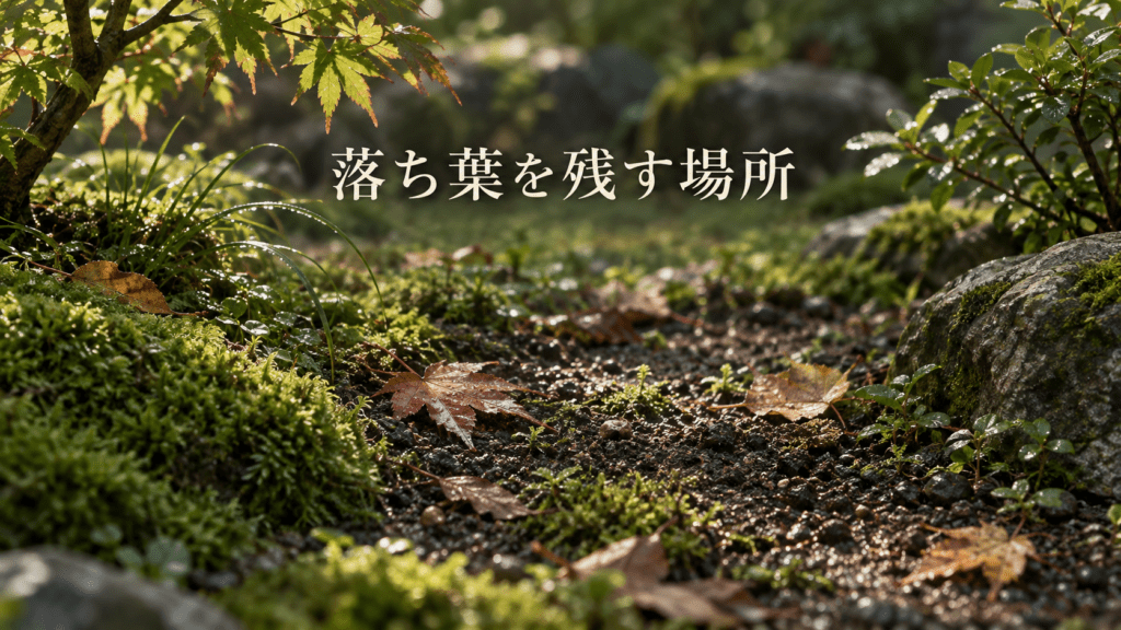 落ち葉を残す場所