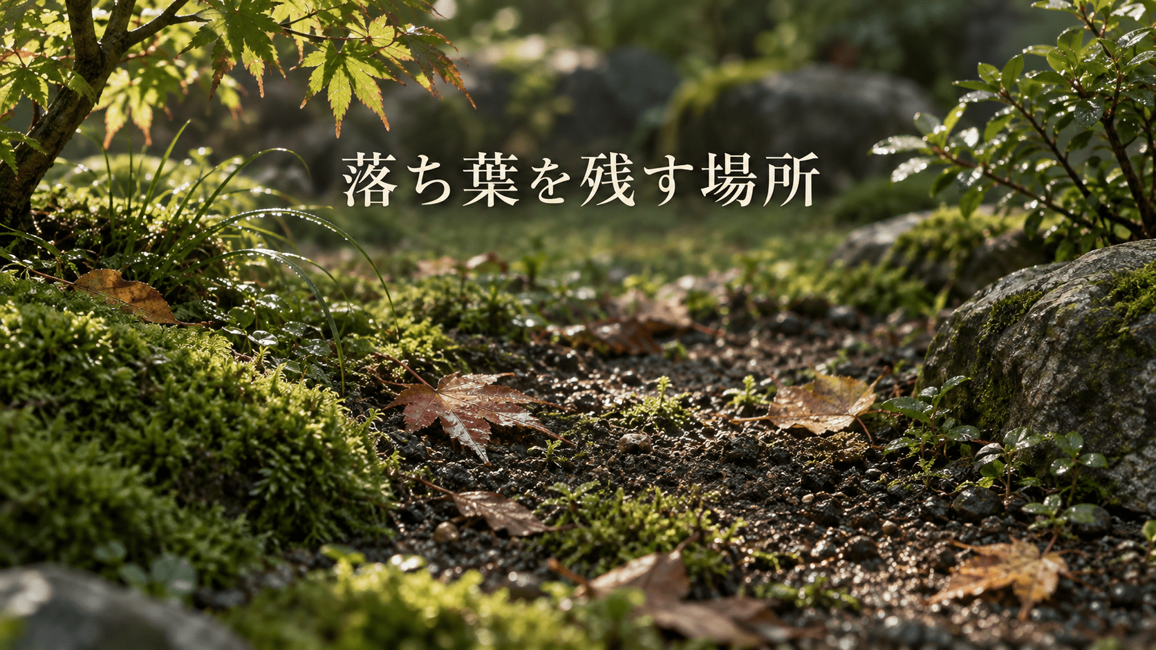 落ち葉を残す場所