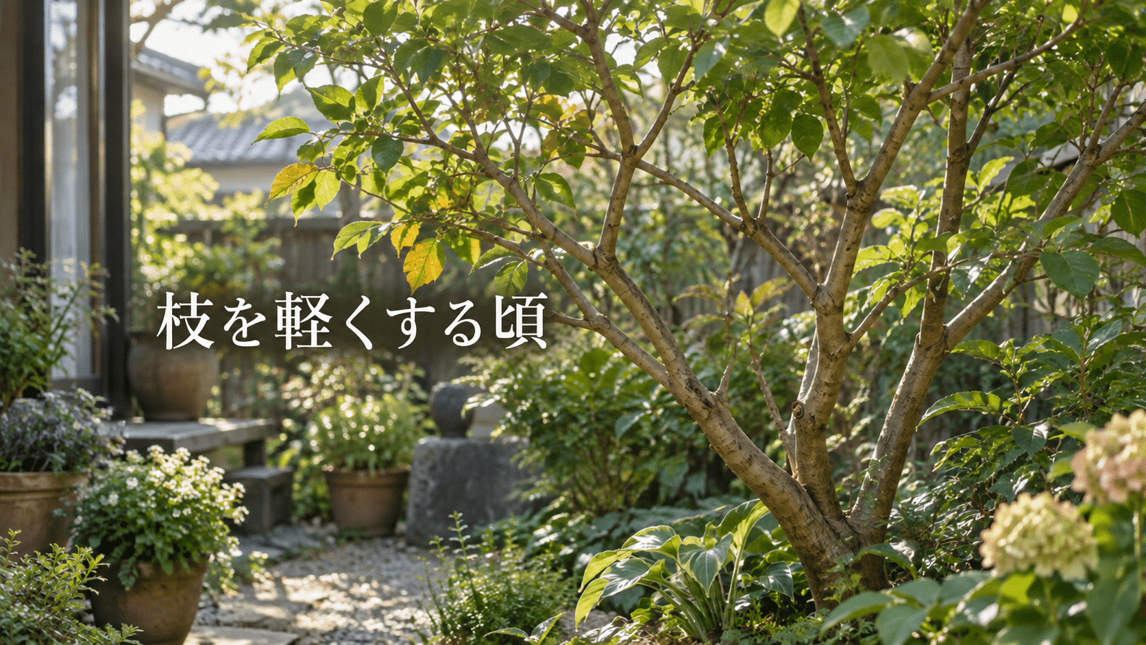 枝を軽くする頃