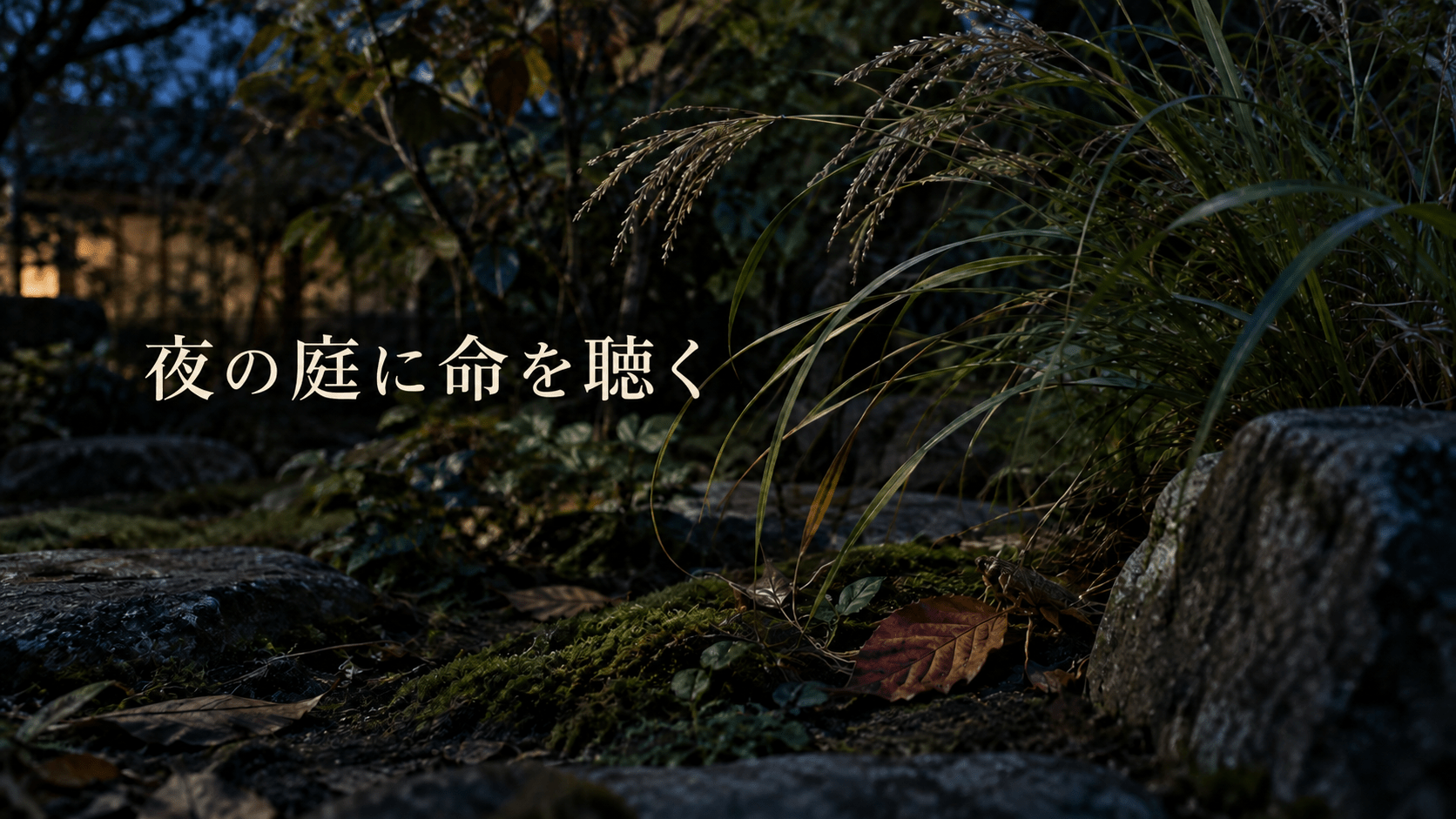 夜の庭に命を聴く